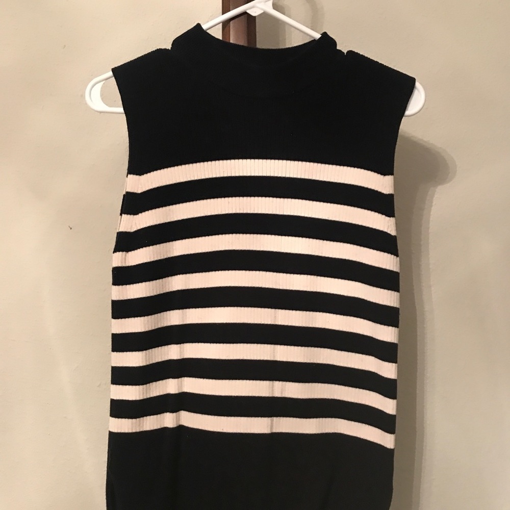 Everlane sleeveless sweater tank. Thin- not hot.